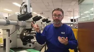 Microscope tutorial - Troubleshooting Masson's Trichrome stain