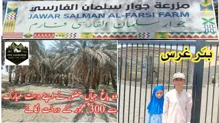 GARDEN OF SALMAN FARSI | مزرعة سلمان فارسى | GHARS WELL | بئرغرس | EPIC LANDLOPER