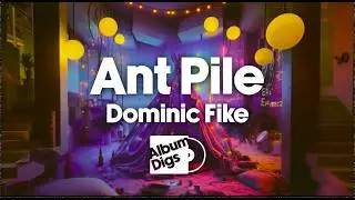 Dominic Fike - Ant Pile (Visualizer Video)