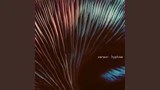 Ascocarp