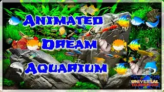 Animated Dream Aquarium with Rich Colors I UTC Animation | Universal  TechnoCloud 35.