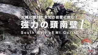 強力の頭南壁①『大峰に隠れた未知の岩壁に挑む‼️』
