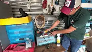 Por qué no nacen pollitos en mi incubadora? Cómo calibrar mi incubadora de huevos?