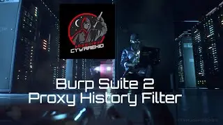 Burp Suite 2  Proxy History Filter