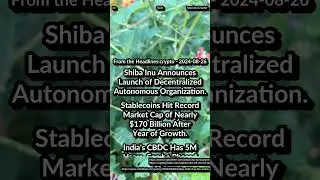 Shiba Inu Decentralized Autonomous org. Stablecoins Market Cap $170B. India's CBDC Has 5M Users