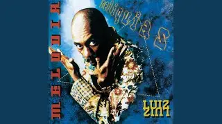 Salve Linda Can&ccedil;&atilde;o Sem Esperan&ccedil;a