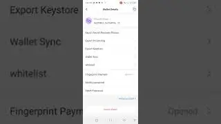 How to find tocken pocket 12 keys phrase