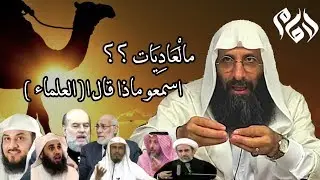 الإمام صلاح الدين بن إبراهيم ┇اسألوا كل المفسرين مالعاديات ؟