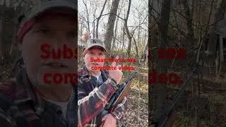 Squirrel Hunting- tips for the beginner.