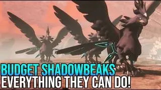 Palworld Budget Shadowbeak 0 Stars 0 Souls Does Bjorn & All Towers Category