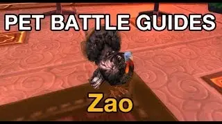 [WoW] Pet Battle Guides: Zao with only 2 pets