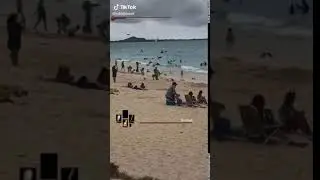 Man summons birds on beach: Dark Souls boss
