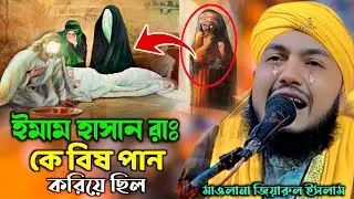 piyarul islam jalsa┇ইমাম হাসানদের বিষ খাওয়ার ঘটনা┇ piarul jalsa┇পিয়ারুল ইসলাম┇piyarul gojol┇jalsa
