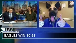 What are the Philadelphia Eagles playoff chances?