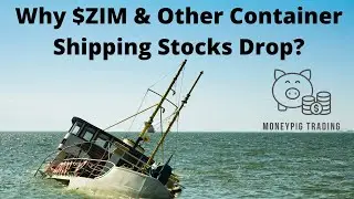 Why $ZIM & $MATX Matson and Other Container Shipping Stocks Drop So Much in the Past Few Months?