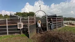 Horses foals working machine.#horse #horsetraining #animals #prancinghorse #horselover#말