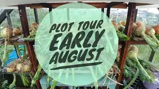 Allotment Plot Tour August