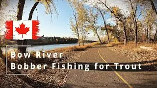 Fall Fishing at Fish Creek Park | Bow River Bobber Fishing for Trout