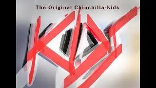 The Original Chinchilla Kids