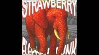 Strawberry Elephant Funk