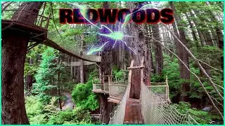 TREES OF MYSTERY- #canopywalk  ,skytrail gondola and more !  Redwoods National Forest
