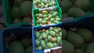Kesar mango rate hyderabad fruit market batasingaram 26-04-2023.#kesarmango