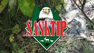 SaskTIP Crime of the Month - October 2018