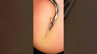 ASMR needle (fishing hook) under thumb skin CLOSE-UP ( macro - zoom in) #asmr #asmrsounds #closeup