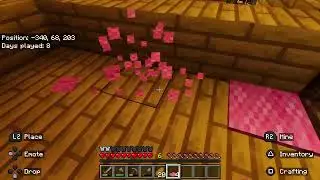 Playing Minecraft with friends.