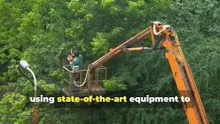 Tree Service Dothan AL | Best Tree Service Company in Dothan, Alabama #dothanaltreeservice