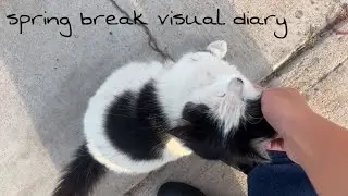 spring break visual diary