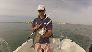 Spinning Serra in Foce C&R - Attacchi e Catture in Diretta Strike - Pesce Bluefish - Pescara