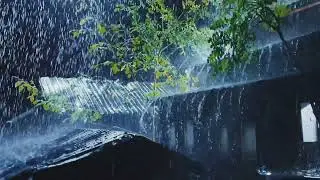Surrender to the Storm ⚡ Heavy Rain & Thunder for Deep Sleep ⛈️