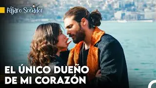 Contemplando La Vista Más Hermosa - Pájaro Soñador Capitulo