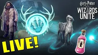 LIVE! November Wizarding Weekend ⚡ Harry Potter: Wizards Unite
