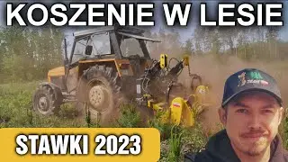 Stawki za koszenie upraw leśnych 2023 || Wykaszarka STARTLAS