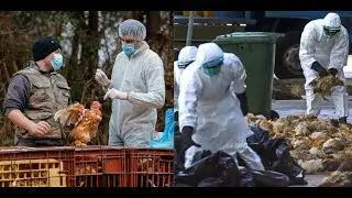CDC WARNINGS OVER 