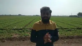HUMATE INDIA ORIGINAL ORGANIC HUMATE - SOIL CONDITIONER FROM USA