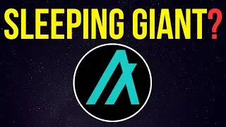 Algorand: A Sleeping Giant? My Perspective and My Thoughts on the Algorand ALGO Price Currently
