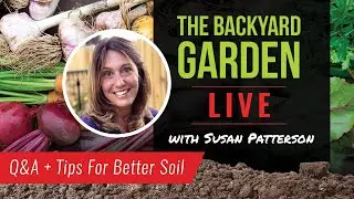 The Backyard Garden Live with Susan Patterson: Q&A + Tips For Better Soil