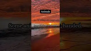 Fact Blast About Animals ! #trivia #facts #quotes #quotes #animal #animalspecies #animals