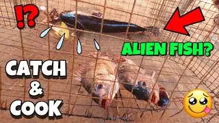 MALAKING ISDA HULI SA BAHA! MAY KASAMA PANG SUS0! CATCH AND COOK PHILIPPINES TRENDING SA FACEBOOK!