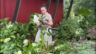 Prepping My Garden for a NEW Theme This Month!