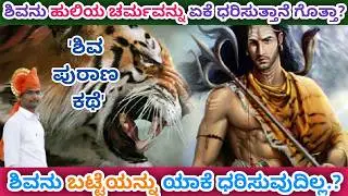 ಶಿವ ಹುಲಿ ಚರ್ಮ ಏಕೆ ಸುತ್ತಿಕೊಂಡಿರುತ್ತಾನೆ | Why Does SHIVA Wear a Tiger Skin Wrap? | Shankar Onti 8