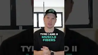 You NEED to Know About Muscle Fibers for Strength Training