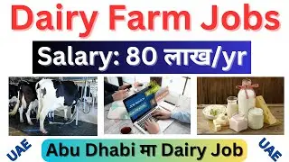 Dairy Farm Jobs in UAE | Agriculture Jobs in UAE | Ireland Dairy Farm Jobs | UAE Dairy Farm Jobs
