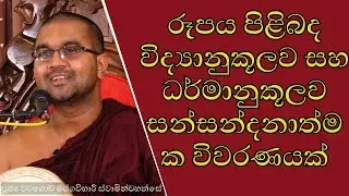 රූපය පිළිබද විද්‍යානුකූලව සහ ධර්මානුකූලව සන්සන්දනාත්මක විවරණයක් | ඇසට බාහිර ලෝකය පෙනෙන්නේ කොහොමද ?