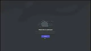 Discord Bug
