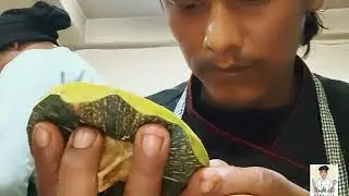 PRESENTING A CARVING DESIGNS BY||CHEF BIR BAHADUR OFFICIAL||2026||A SHORT VLOG