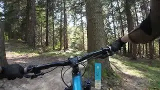Mącicielka, Rabka Trails | najłatwiejsza trasa MTB w Rabce-Zdr&oacute;j